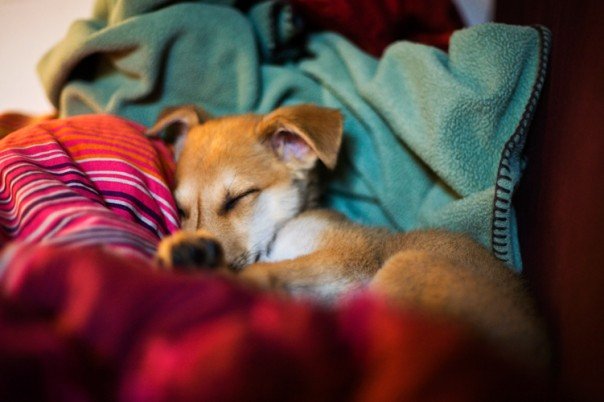 Baby-Xela-2.5-Months