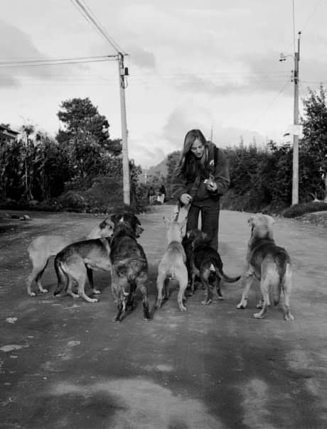 Kristina-feeding-the-street-dogs