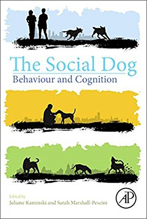 the-social-dog