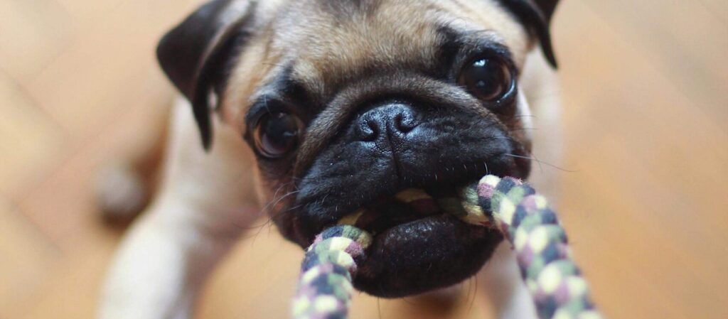 Exercise During Covid