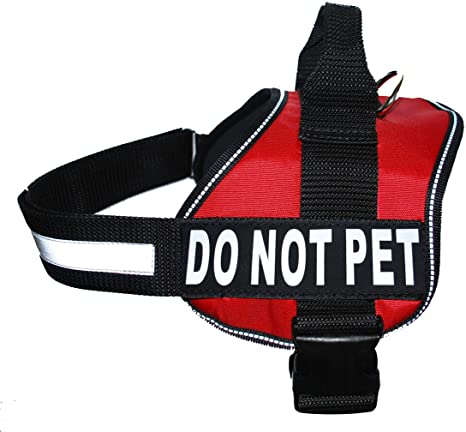 dot-not-pet-harness