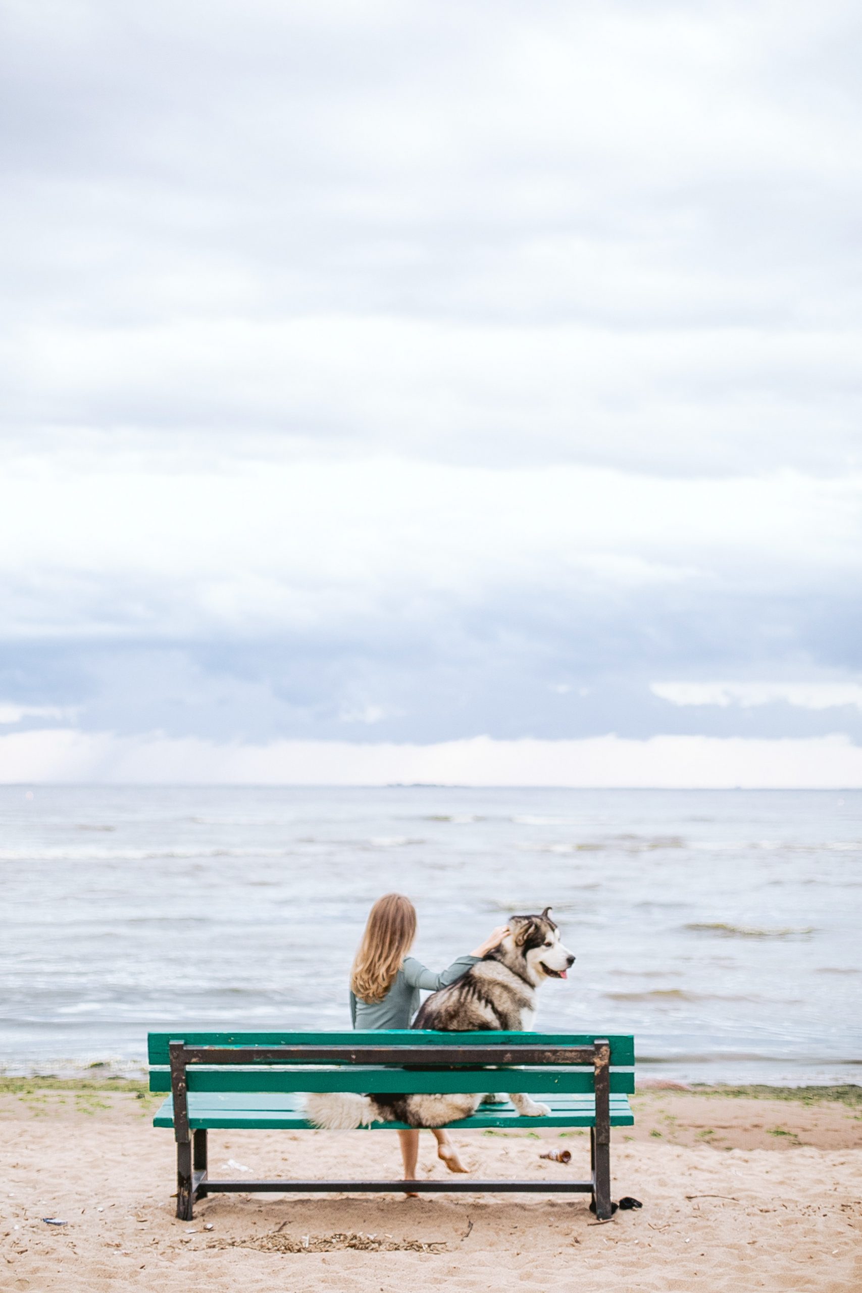 woman-sitting-in-a-beach-bench-with-her-pet