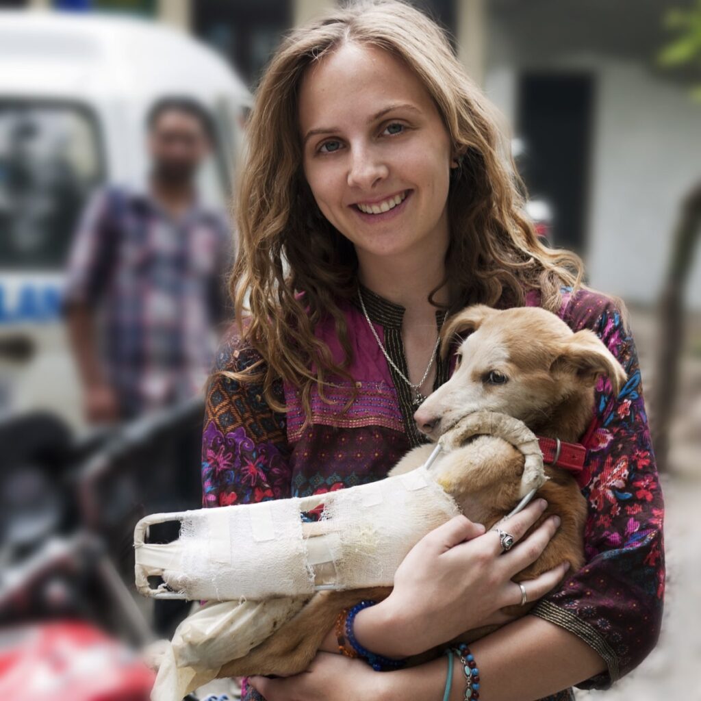 Dog Training Toronto | Hairy Tales | Award Winning Dog Behaviorist