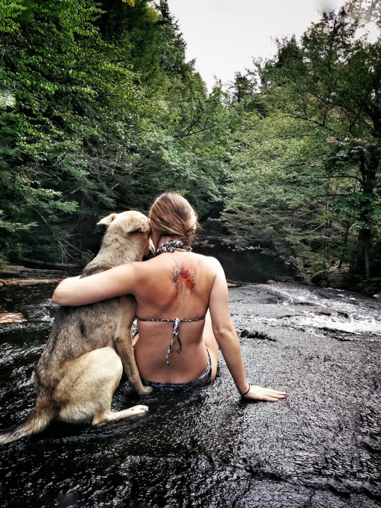 Relationship based training