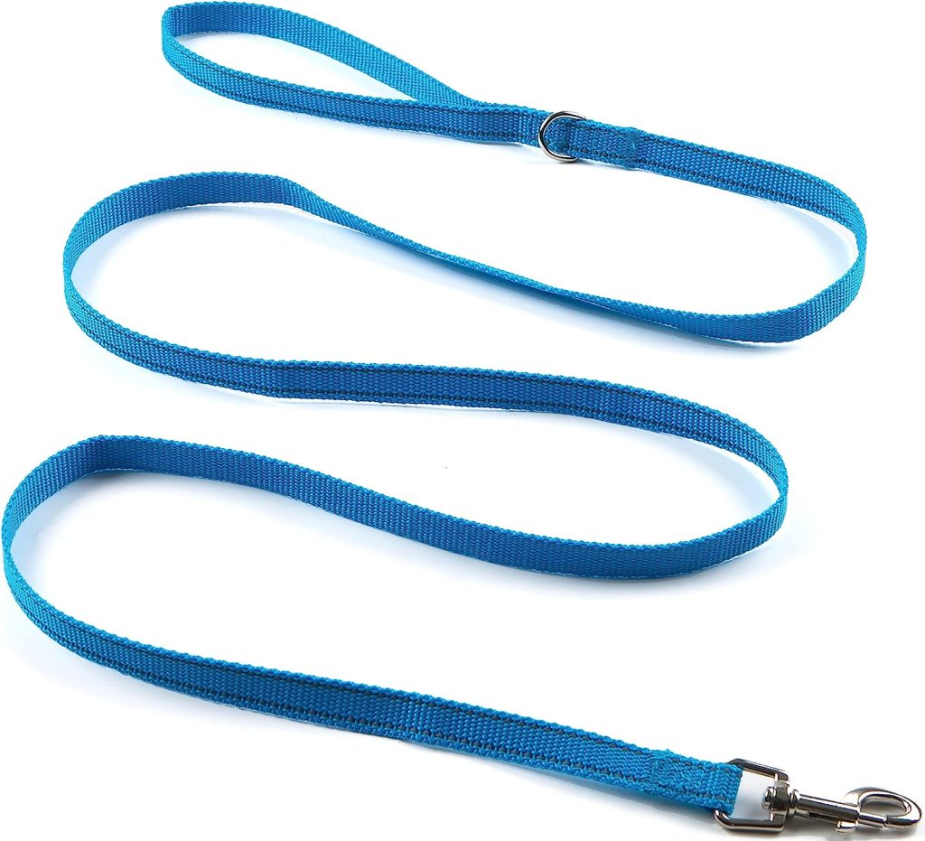 house leash blue