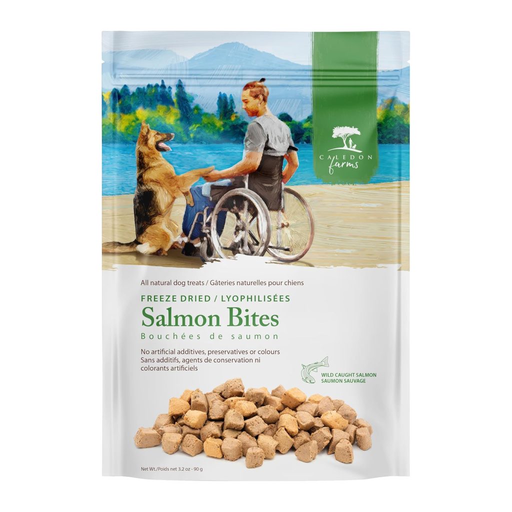 freeze dried salmon treats