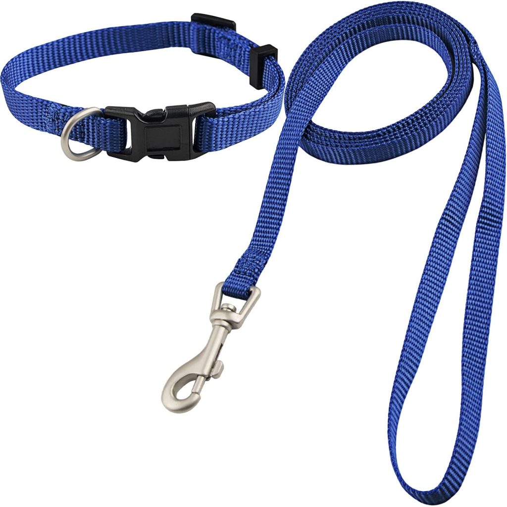 puppy leash and collar set